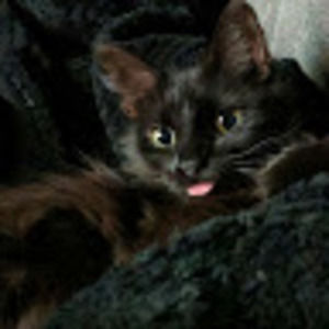 Meet your Posher, Emma